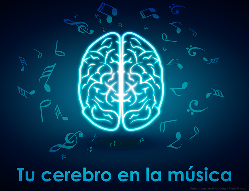 Tu cerebro en la música
